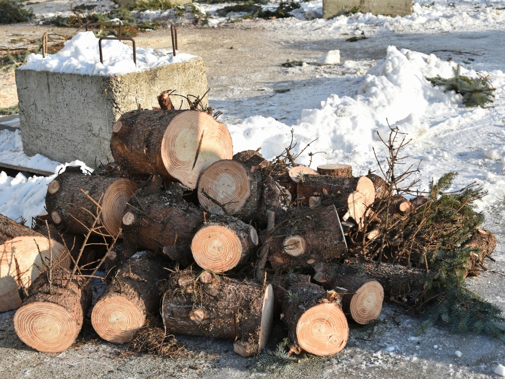 Spear Bro’s Tree Service 860 321 8499 374 West St #100 Bristol, CT 06010 emergency tree service